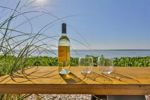 2158 Blossom Way S, Saint Petersburg, FL 33712 - Photo 57