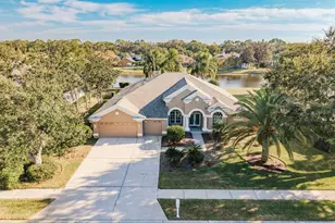 3866 Moreno Dr, Palm Harbor, FL 34685 - Photo 51