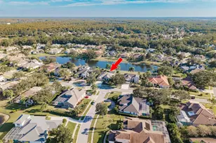 3866 Moreno Dr, Palm Harbor, FL 34685 - Photo 53