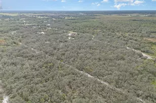 30215 Saddlebag Trail, Myakka City, FL 34251 - Photo 37