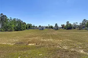 13156 Odham St, Spring Hill, FL 34609 - Photo 49