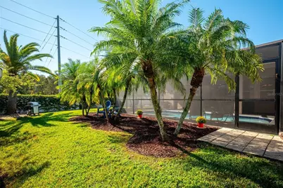 26210 Corkwood Court, Land O Lakes, FL 34639 - Photo 39