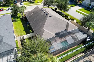 3638 Arboretum Pl, Palm Harbor, FL 34683 - Photo 73