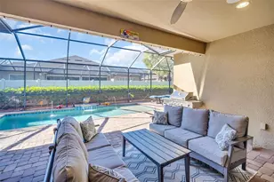 3638 Arboretum Pl, Palm Harbor, FL 34683 - Photo 61