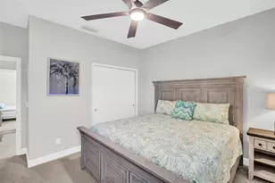 3638 Arboretum Pl, Palm Harbor, FL 34683 - Photo 47