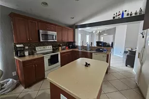 11349 Palm Island Ave, Riverview, FL 33569 - Photo 5