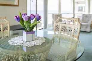 18675 US Hwy 19 N, Clearwater, FL 33764 - Photo 49