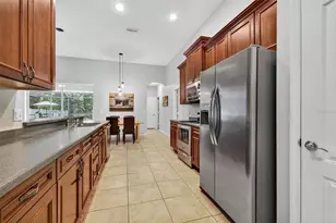 11738 Summer Springs Dr, Riverview, FL 33579 - Photo 11