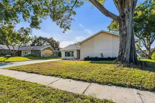 3116 Brunswick Cir, Palm Harbor, FL 34684 - Photo 67