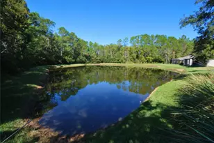 9933 Saunton Drive, San Antonio, FL 33576 - Photo 27