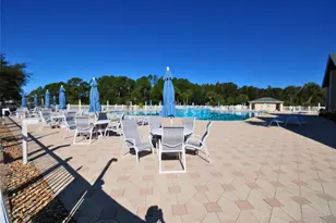 9933 Saunton Drive, San Antonio, FL 33576 - Photo 33