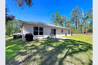 9171 N Paradisea Drive, Citrus Springs, FL 34433 - Photo 51