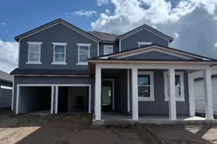 30129 Misty Pnes Rd, Mount Dora, FL 32757 - Photo 3