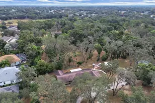 4111 Robinson Rd, Valrico, FL 33594 - Photo 5