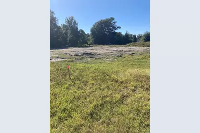 6277 Tower Road, Land O Lakes, FL 34638 - Photo 1