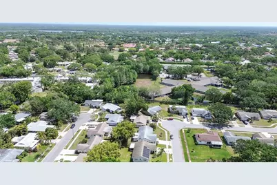 2955 Briar Cliff Drive, Palm Harbor, FL 34684 - Photo 33