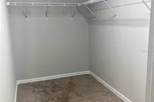 34209 Scarlet Sage, Wesley Chapel, FL 33545 - Photo 29