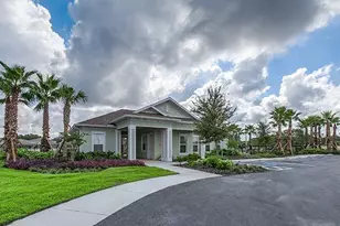 10115 Paradise Fish Dr, Riverview, FL 33578 - Photo 25