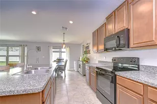 10115 Paradise Fish Dr, Riverview, FL 33578 - Photo 7