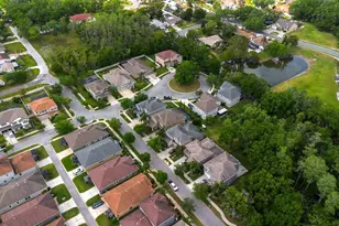 7029 Dowling Mill Cir, Tampa, FL 33625 - Photo 37