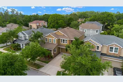 7029 Dowling Mill Circle, Tampa, FL 33625 - Photo 1