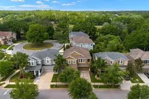 7029 Dowling Mill Cir, Tampa, FL 33625 - Photo 31