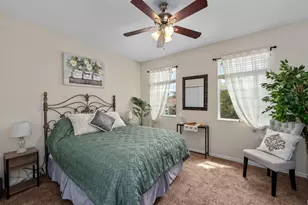 7029 Dowling Mill Cir, Tampa, FL 33625 - Photo 13