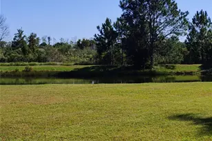 10824 Collar Dr, San Antonio, FL 33576 - Photo 17