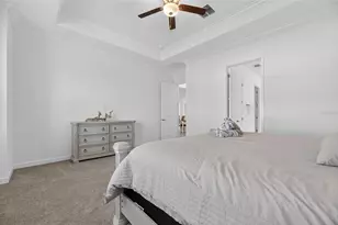 17415 Holly Wl Ave, Wimauma, FL 33598 - Photo 45