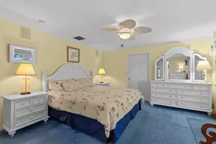 250 Sage Rd, Crystal Beach, FL 34681 - Photo 47