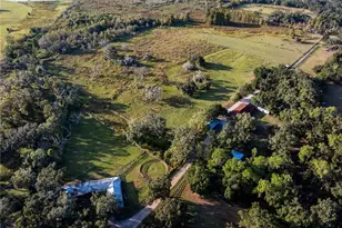 12537 Tomar Dr, Thonotosassa, FL 33592 - Photo 9