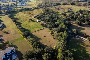 12537 Tomar Dr, Thonotosassa, FL 33592 - Photo 7