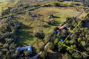 12537 Tomar Dr, Thonotosassa, FL 33592 - Photo 7