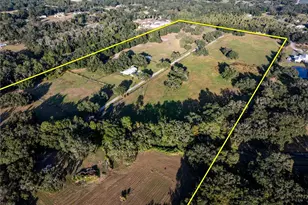 12537 Tomar Dr, Thonotosassa, FL 33592 - Photo 3