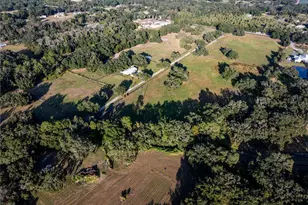 12537 Tomar Dr, Thonotosassa, FL 33592 - Photo 5