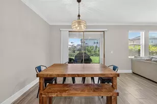 3999 Cadence Loop, Land O Lakes, FL 34638 - Photo 13