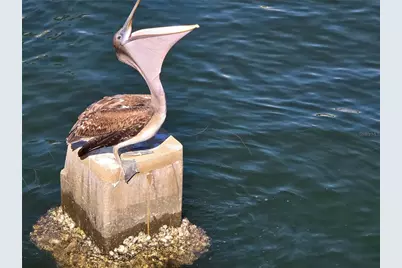 701 42nd Avenue S, Saint Petersburg, FL 33705 - Photo 51