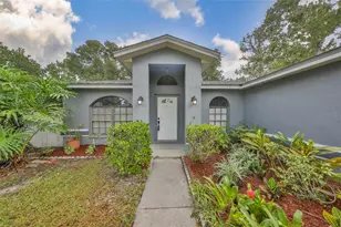 3818 Biscay Pl, Land O Lakes, FL 34639 - Photo 3