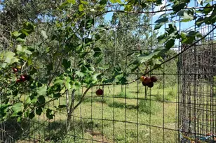 10342 Shady Dr, Hudson, FL 34669 - Photo 43