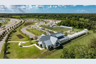 16808 Forge Surf Street, Land O Lakes, FL 34638 - Photo 3