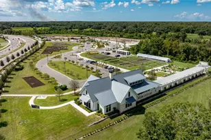 16808 Forge Surf St, Land O Lakes, FL 34638 - Photo 3