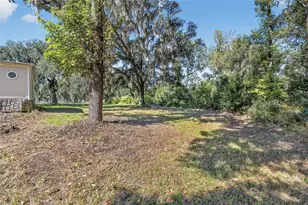 11110 Walter Hunter Rd, Lithia, FL 33547 - Photo 45