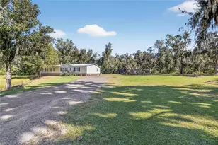 11110 Walter Hunter Rd, Lithia, FL 33547 - Photo 53