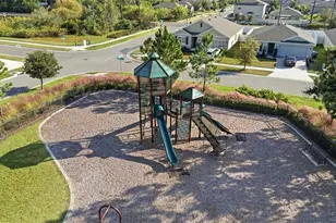 10239 Bright Crystal Ave, Riverview, FL 33578 - Photo 11