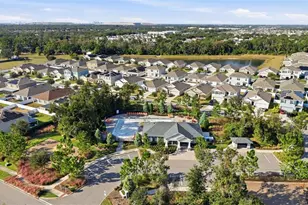 10239 Bright Crystal Ave, Riverview, FL 33578 - Photo 7