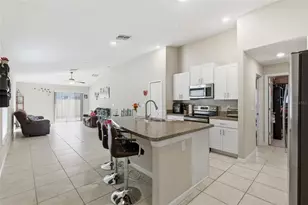 10239 Bright Crystal Ave, Riverview, FL 33578 - Photo 29