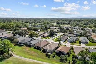 4379 Sawgrass Dr, Palm Harbor, FL 34685 - Photo 43