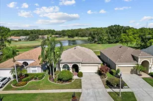 4379 Sawgrass Dr, Palm Harbor, FL 34685 - Photo 41