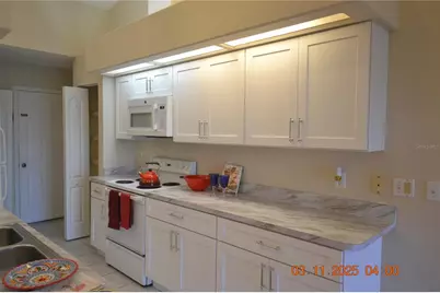 204 Hemingway Drive, Oldsmar, FL 34677 - Photo 9