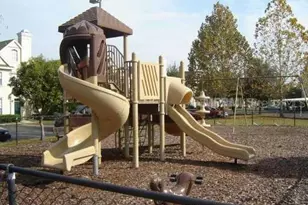 10582 Windsor Lake Ct, Tampa, FL 33626 - Photo 15